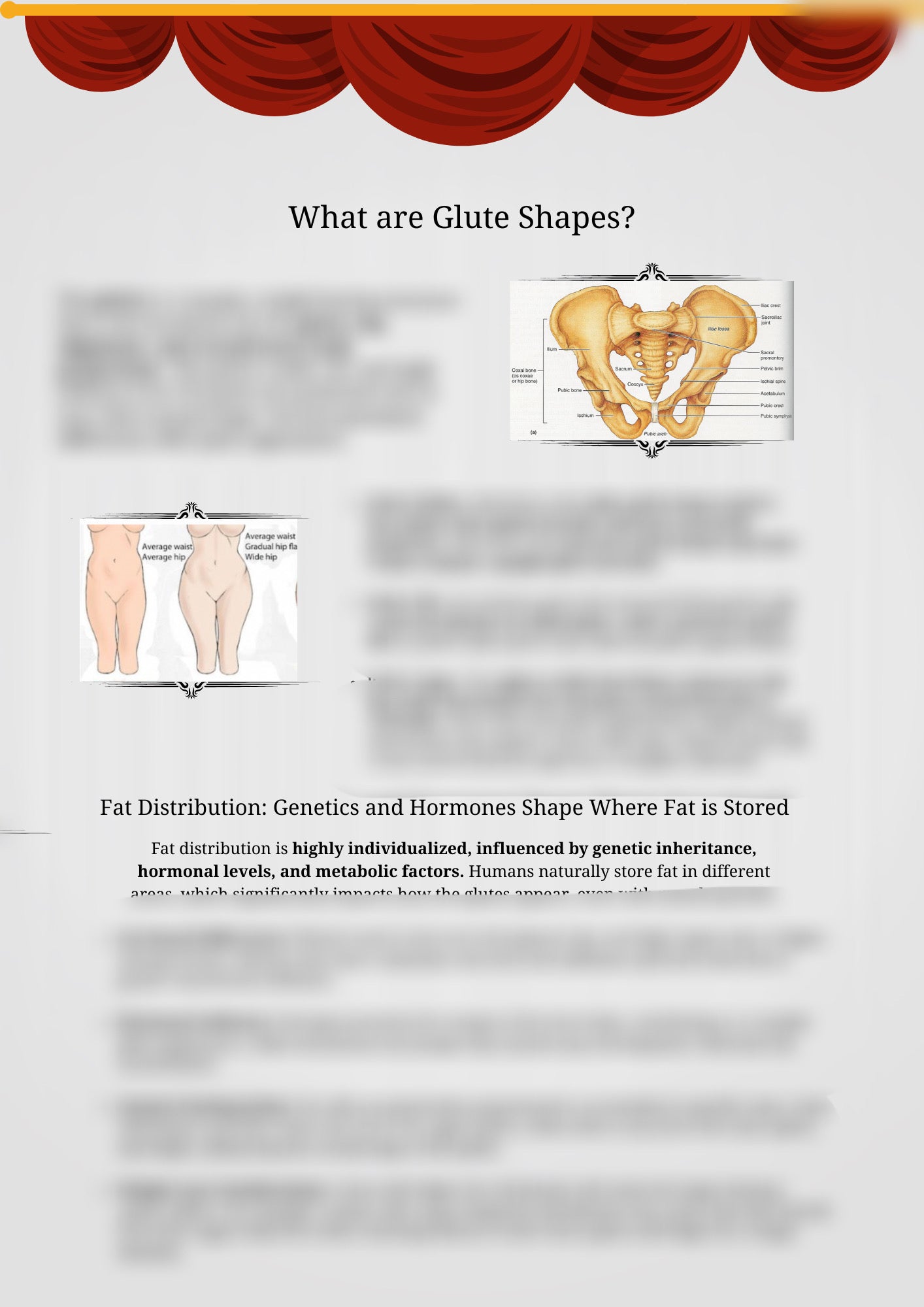THE BODY BLUEPRINT